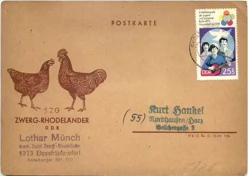 SZG - Zwerg-Rhodeländer DDR - Huhn -712106