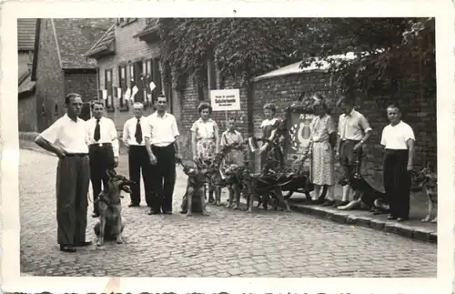 Bischofsheim Hessen - Verein für deutsche Schäferhunde -712190