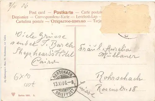 Plam Grove near Kerdase - Egypt -712390