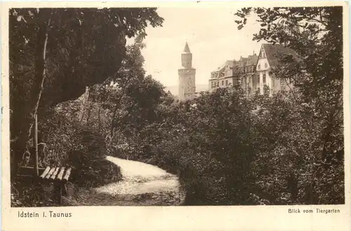 Idstein - Blick vom Tiergarten -712840