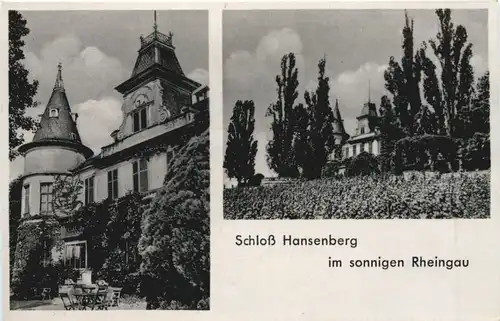 Schloss Hansenberg im sonnigen Rheingau -712848