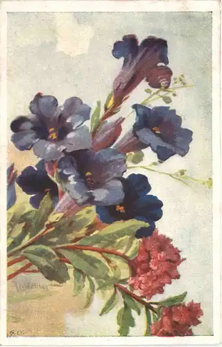 Künstler Ak F. Niebler -713198