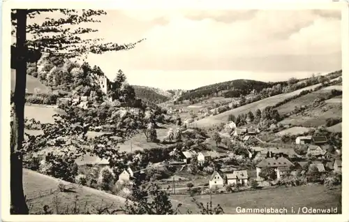 Gammelsbach im Odenwald -713674