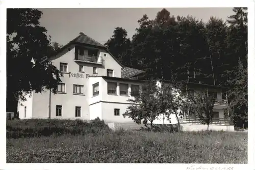 Weiten-Gesäss - Pension Waldfriede - Michelstadt im Odenwald -713696