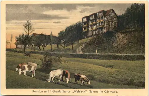 Nonrod im Odenwald - Pension Waldeck -713736