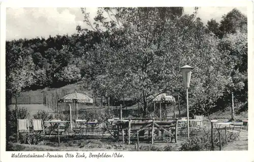 Beerfelden im Odenwald - Waldrestaurant Otto Zink -713712