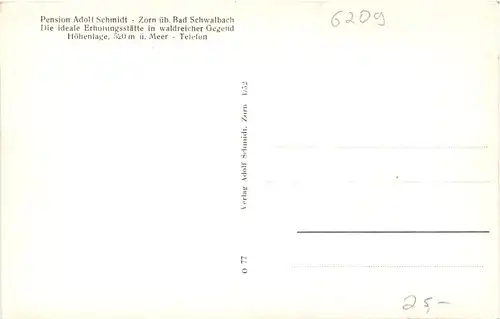 Zorn Taunus - Pension Adolf Schmidt -713872