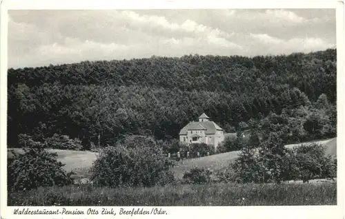 Beerfelden im Odenwald - Waldrestaurant Otto Zink -713708