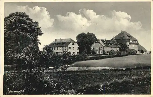 Mücke in Hessen - Bibelheim Flensungerhof -714438