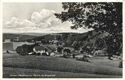 Essen-Heidhausen - Partie im Hespertal -714890