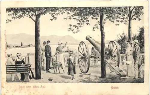 Bonn - Blick vom alten Zoll -715844