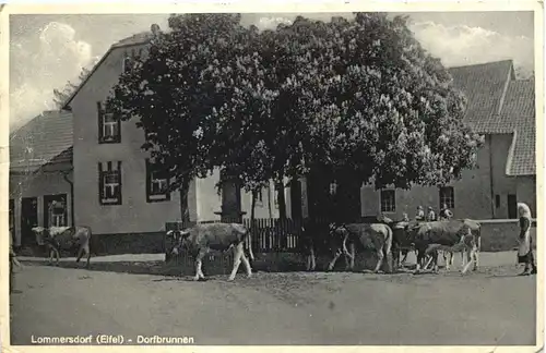 Lommersdorf Eifel - Dorfbrunnen - Blankenheim -715842