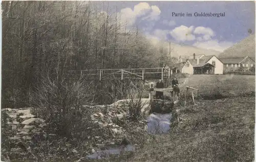 Stromberg Hunsrück - Partie im Guldenbergtal -716370