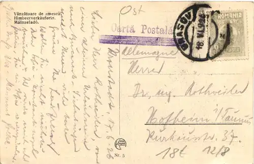 Romania - Himbeerverkäuferin -716928