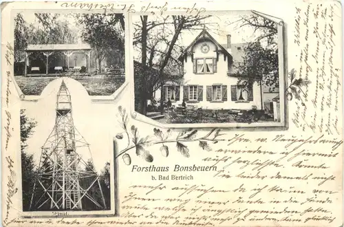 Forsthaus Bonsbeuren bei BAd Bertrich -717448