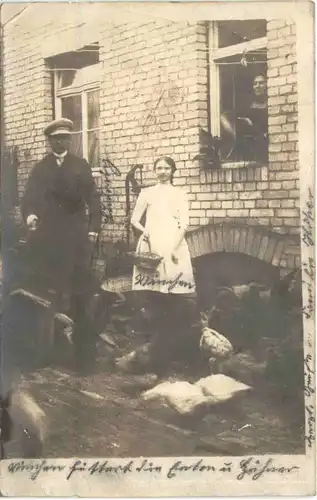 Koblenz - Ehrenbreitstein -717544