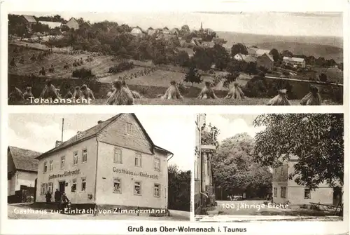 Gruss aus Ober-Wolmenach im Taunus - Malmeneich -717774