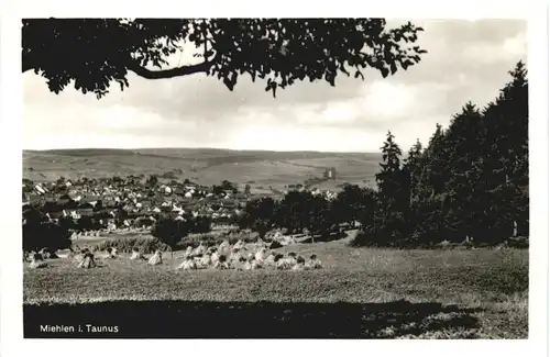 Miehlen im Taunus -717828