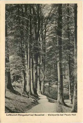 Rengsdorf bei Neuwied - Waldpartie bei Pauls Heil -718038