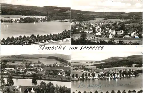 Amecke am Sorpesee Sauerland -718640