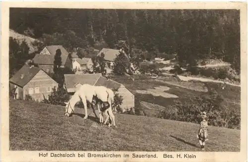 Hof Dachsloch bei Bromskirchen im Sauerland -718642