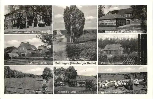 Behringen Lüneburger Heide -719210