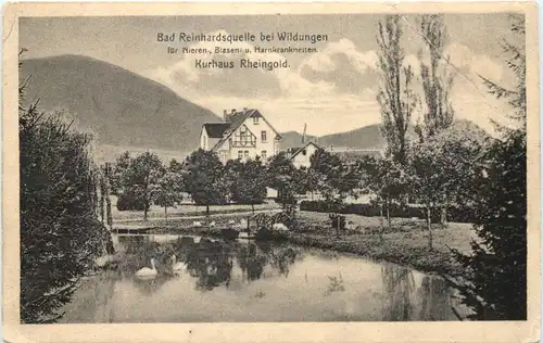 Bad Reinhardsquelle bei Wildungen - Kurhaus Rheingold -719744