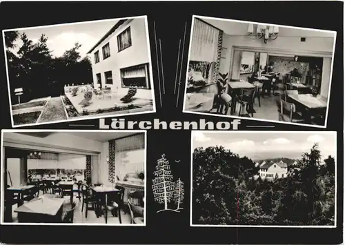 Diemelstadt Rhoden - Gasthaus Lärchenhof -719738