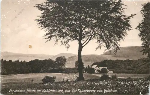 Forsthaus Haide im Habichtswald - Kassel -719876