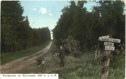 Waldpartie im Soonwald -720752