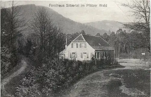 Forsthaus Silbertal im Pfälzer Wald -721312