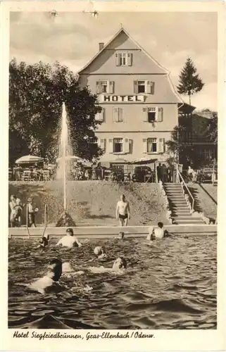 Gras-Ellenbach - Hotel Siegfriedbrunnen -722640