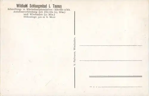 Schlangenbad im Taunus - Vegetarische Pension Villa Jung -722606