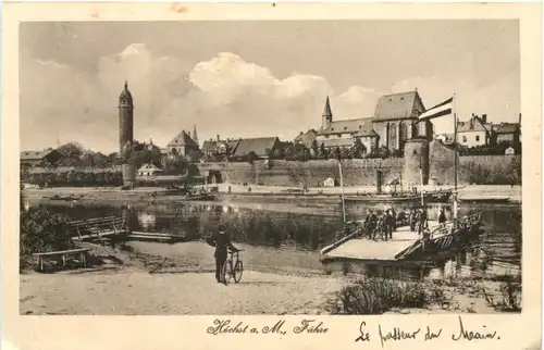 Höchst am Main - Fähre -722894