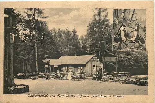 Waldwirtschaft auf dem Fuchstanz im Taunus -722884