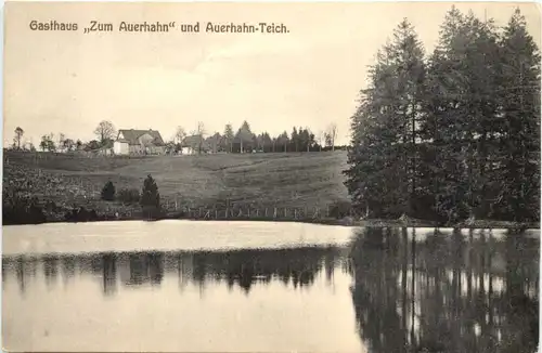 Ilmenau - Gasthaus Zum Auerhahn -723558