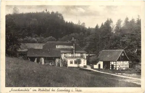 Eisenberg in Thüringen - Froschmühle -723598