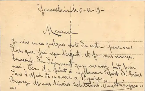 Germersheim - Rhein mit Fähre -723428