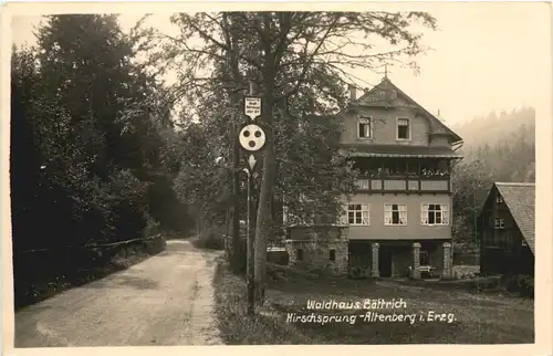 Altenberg im Erzgebirge - Waldhaus Bättrich -723824