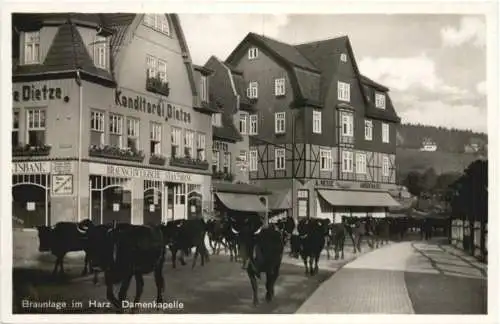 Braunlage im Harz - Damenkapelle -725030