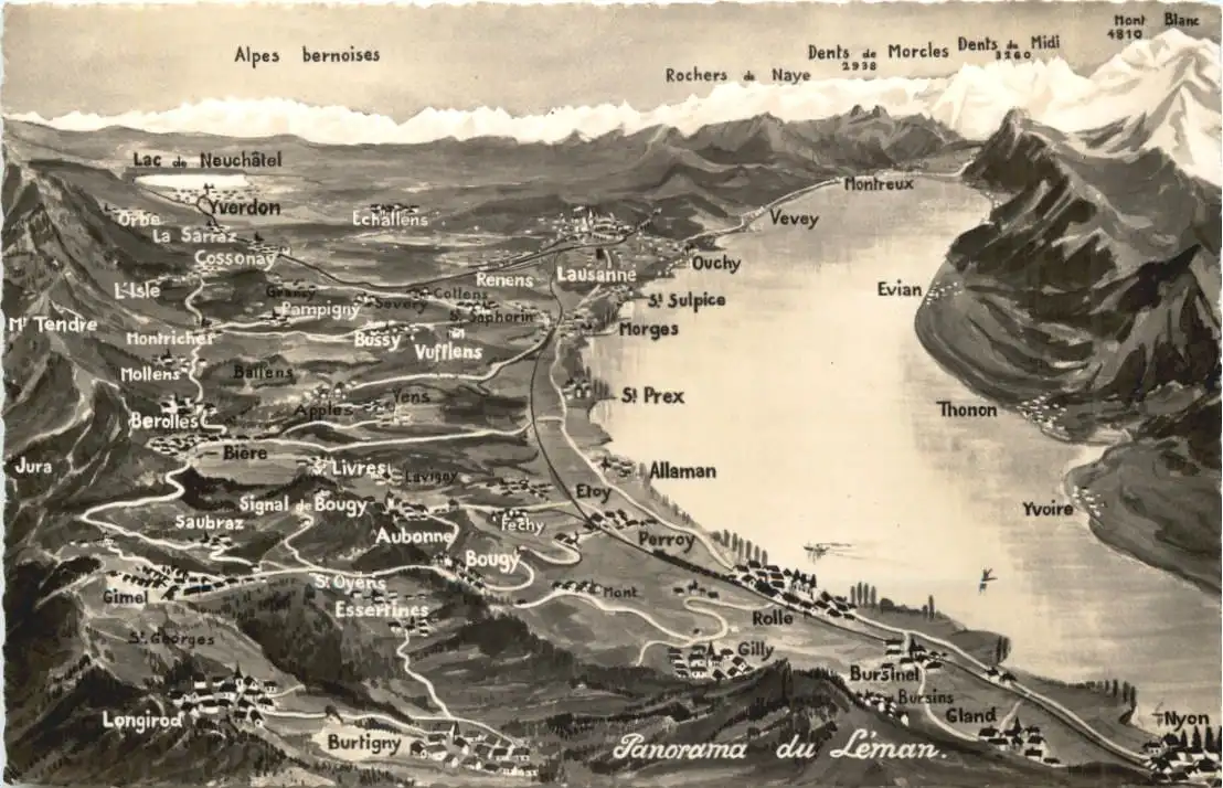 Panorama du Leman -553840