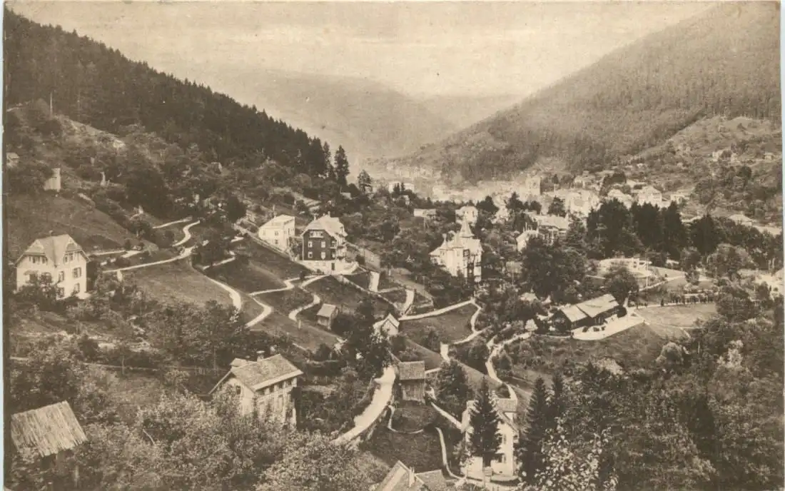 Wildbad, Blick auf den Charlottenweg -554650