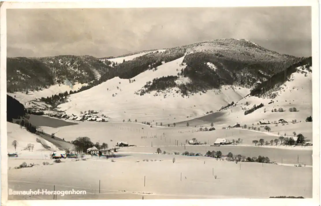 Bernauerhof-Herzogenhorn, Bernau -554742