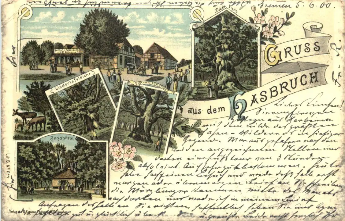 Gruss aus Hasbruch bei Delmenhorst - Litho -726068