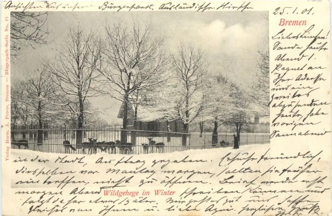 Bremen - Wildgehege im Winter -726248