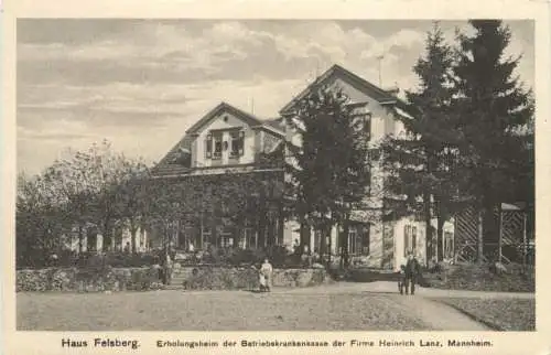 Felsberg - Erholungsheim der Firma H Lanz -727928