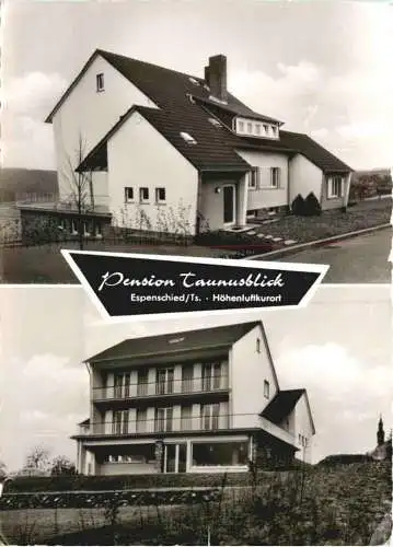 Espenschied Taunus - Pension Taunusblick - Lorch -728086