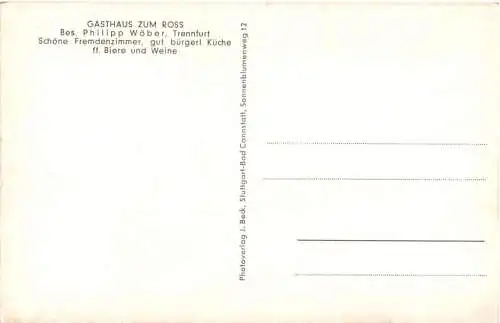 Gruss aus Trennfurt am Main - Klingenberg -728048