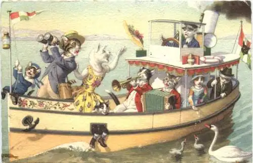 Katzen in Kleidern -728802