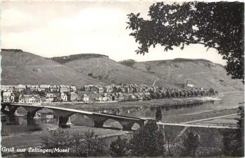 Gruss aus Zeltingen an der Mosel -728622